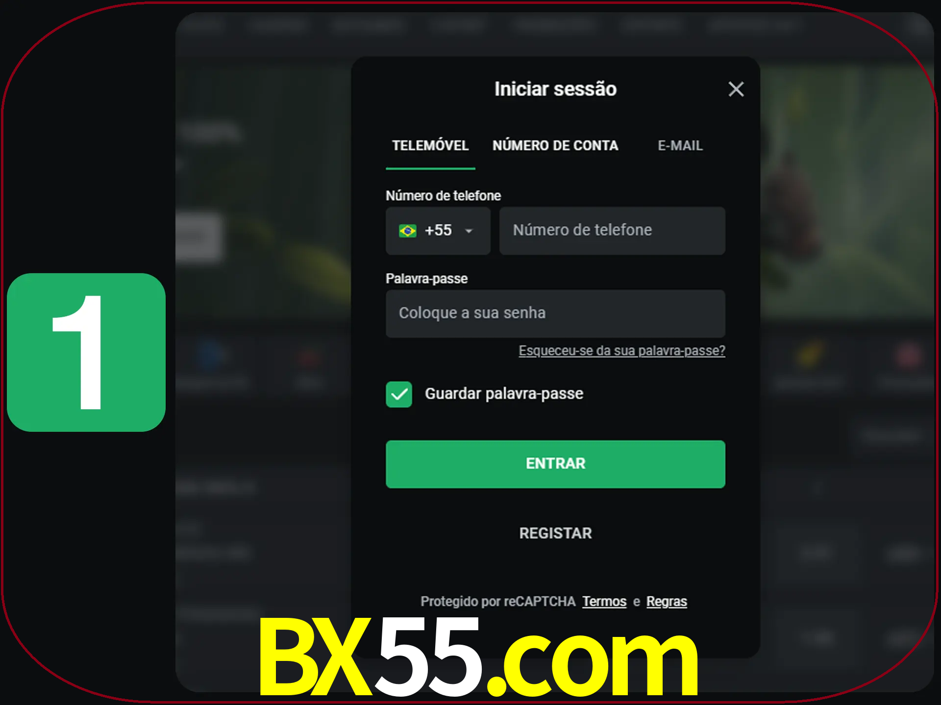 Clique no botão Entrar.